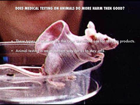 does prada test on animals.